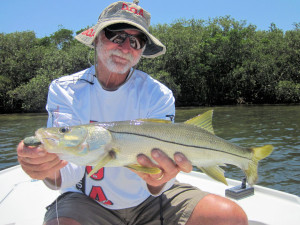 Mark Nichols, owner of DOA Fishing Lures, caught and released reds and snook on the new DOA swimbait while fishing Sarasota Bay with Capt. Rick Grassett.