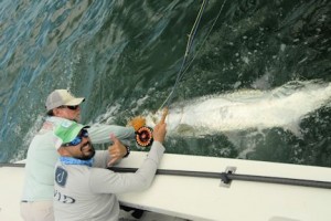 JebMulockSarasotaflytarpon5