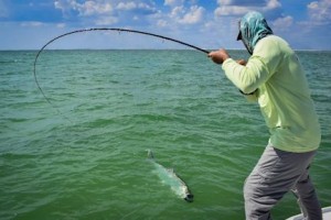 JustinHamblettBPflytarponfight7.