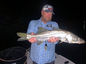 DaveKingSarasotaGrassettSnookMinnowflynightsnook