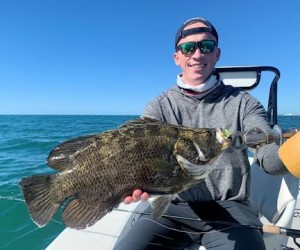 DennyClohisySarasotaDOAShrimptripletail