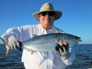 LynnSkipperSarasotaflyalbie