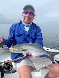 StephenSmithSBflybluefish