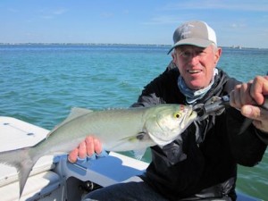 MarshallDinermanSBCALShadbluefish