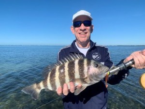 StanSunshineSBCALShadsheepshead