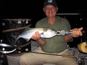 FrankZaffinoGrassettSnookMinnowflynightbluefish